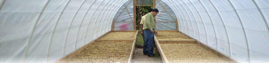 agnet systems green house